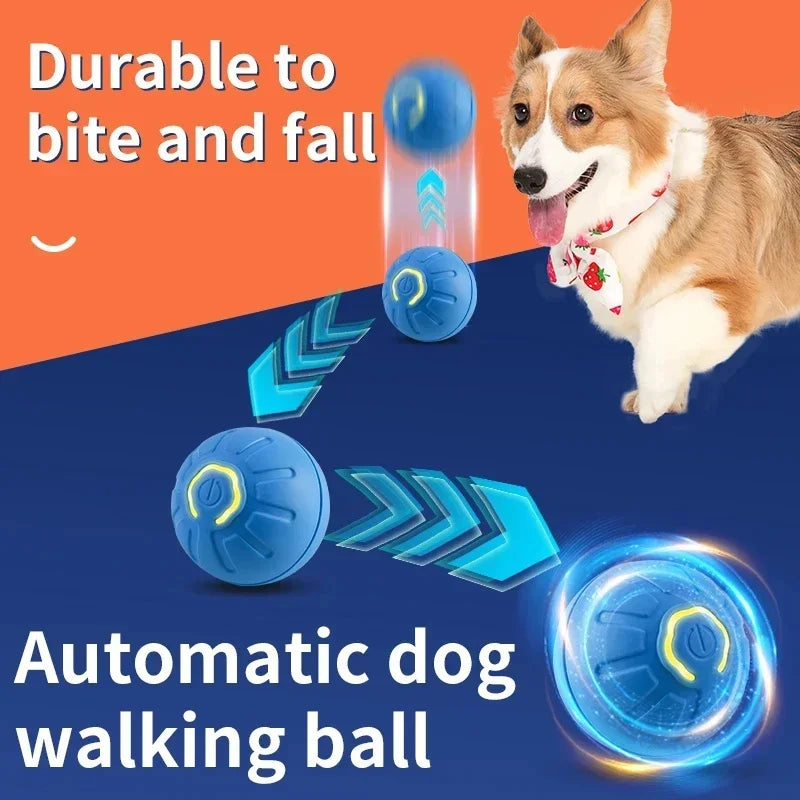 FetchFrenzy – The Smart Ball That Never Gets Tired