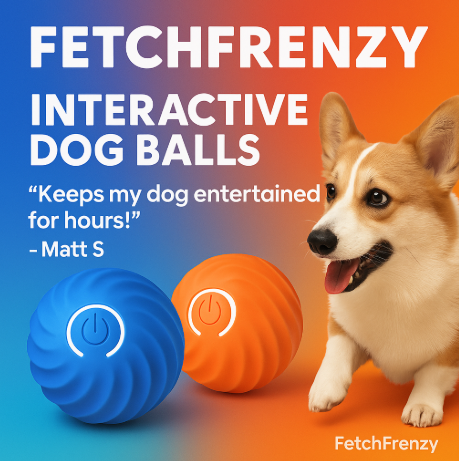 FetchFrenzy – The Smart Ball That Never Gets Tired