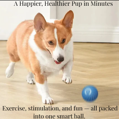 FetchFrenzy – The Smart Ball That Never Gets Tired