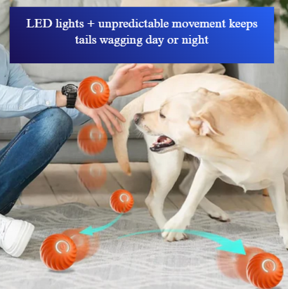 FetchFrenzy – The Smart Ball That Never Gets Tired